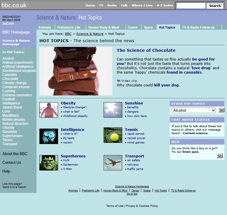 Hot Topics 2004 Website