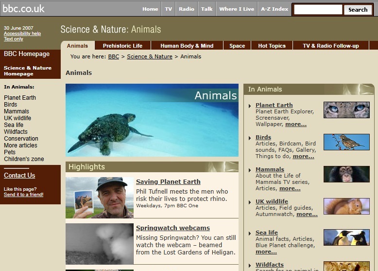 Animals Website