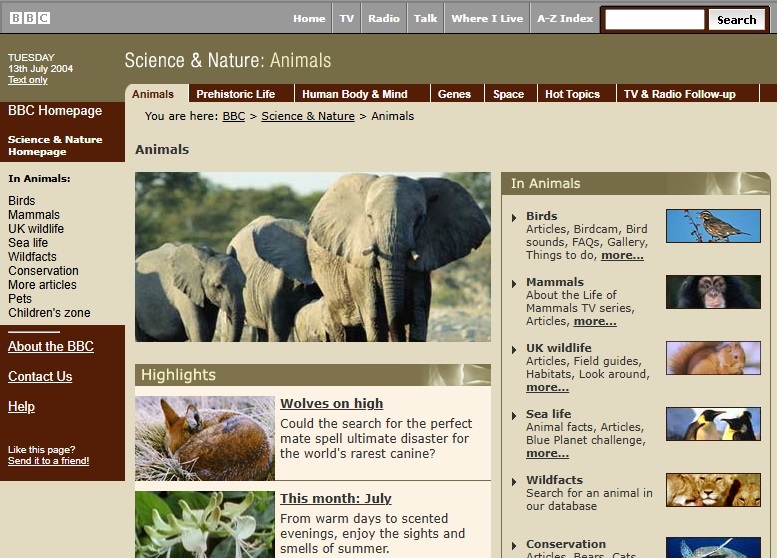 Animals Website