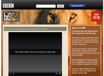 Big Cat Live Website