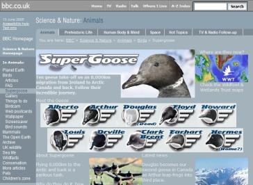 Supergoose Website