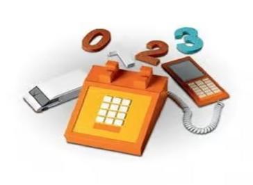 Pocket Landline
