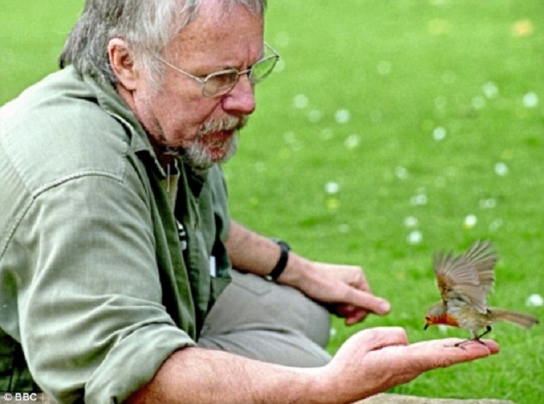 Britain Goes Wild 2004