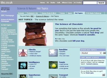Hot Topics Website 2004