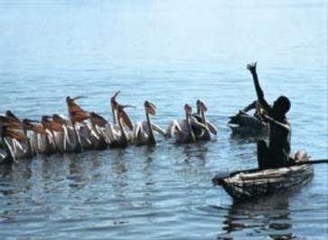 Nile