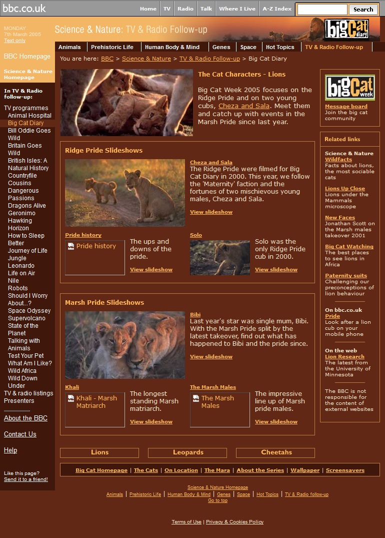 Big Cat Diary 2005