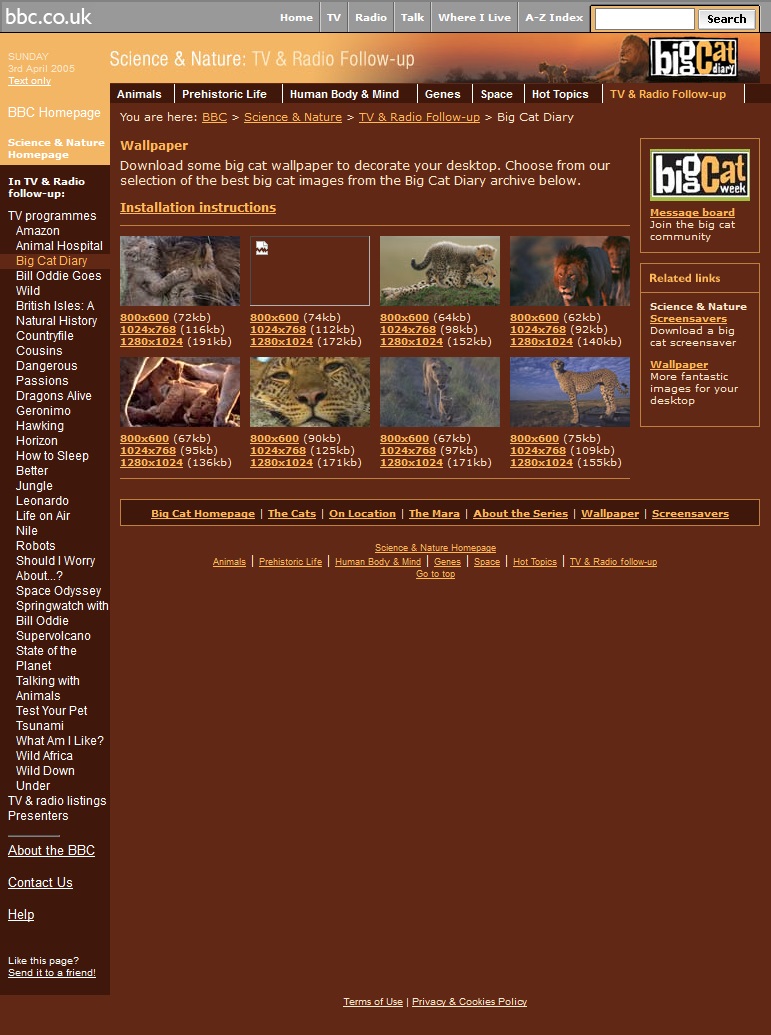 Big Cat Diary 2005